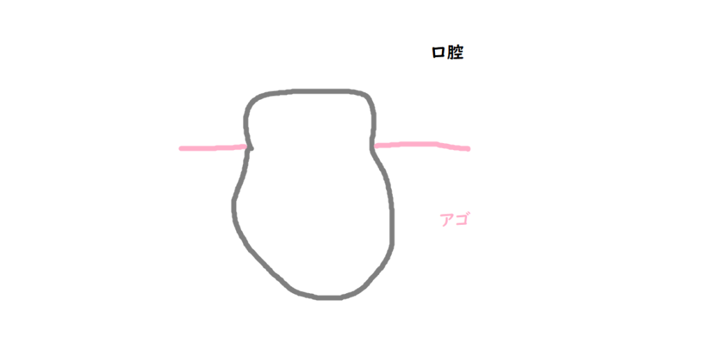 親知らずの構造